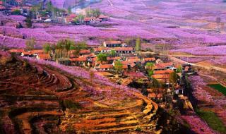 传奇之稀有装扮礼盒 传奇之稀有装扮礼盒