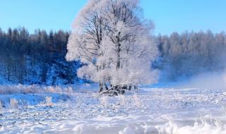 哈尔滨元旦起放寒假