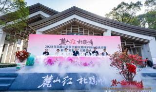 我们爱韶山的红杜鹃 我们爱韶山的红杜鹃