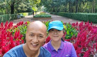 岁岁年年人不同 岁岁年年人不同