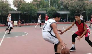 枣庄市中区教育局