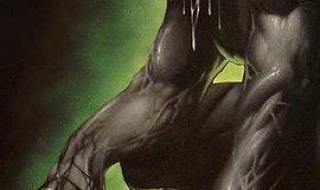 蜘蛛侠动画片全集 蜘蛛侠动画片全集