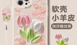 iphone手机壳 iphone手机壳