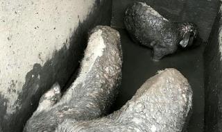 汶川地震捐款排行