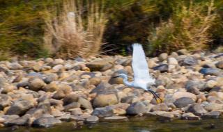 武夷山九曲溪漂流 武夷山九曲溪漂流