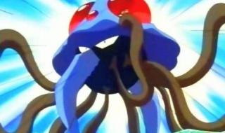 战士盾牌反射宏 战士盾牌反射宏