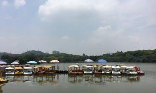 大夫山森林公园门票