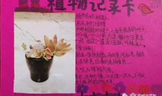 三年级植物记录卡 三年级植物记录卡