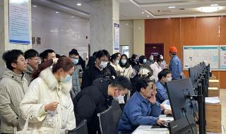 山东省高校毕业生