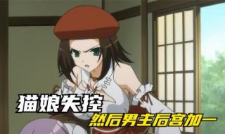 守护猫娘绯鞠图片 守护猫娘绯鞠图片