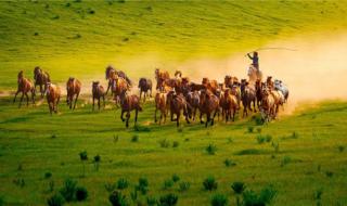 住宿蒙古包 住宿蒙古包