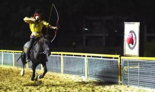 深圳动物园门票团购 深圳动物园门票团购