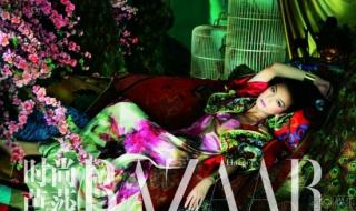 甄子丹画皮 甄子丹画皮