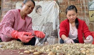 竹鼠养殖户 竹鼠养殖户