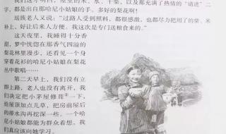 杨利伟的太空一日