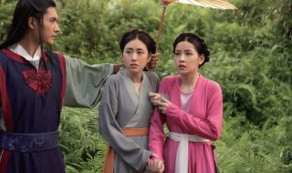 越南电视剧 越南电视剧