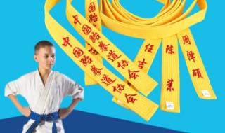 跆拳道红带 跆拳道红带