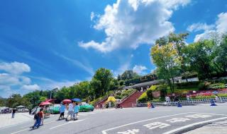 成都大运会开幕式门票 成都大运会开幕式门票