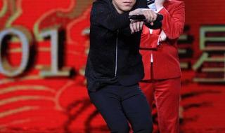 春晚林志玲 春晚林志玲