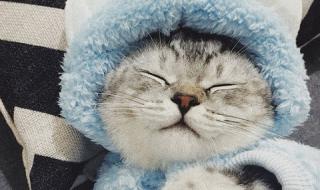 抖音超强变身术怎么拍 抖音超强变身术怎么拍