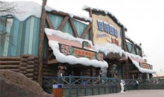 海昌极地海洋世界门票 海昌极地海洋世界门票