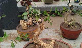 我们的开始 我们的开始