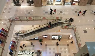 盐城宠物店 盐城宠物店