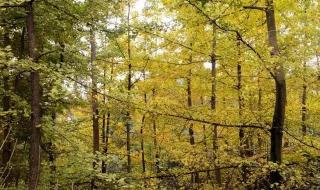 卧虎藏龙高山顶 卧虎藏龙高山顶