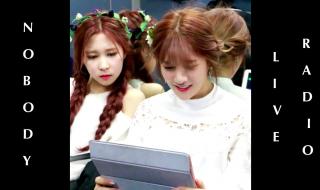 nobodywondergirls nobodywondergirls