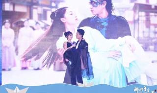 魏晨出了什么事 魏晨出了什么事