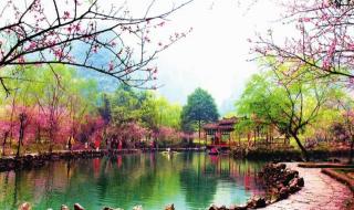 春季赏花的唯美句子