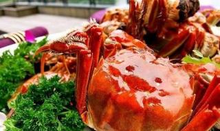 阳澄湖大闸蟹专卖 阳澄湖大闸蟹专卖