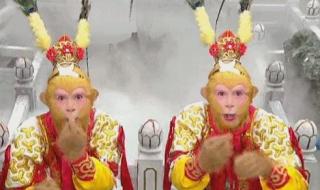 新西游记真假美猴王