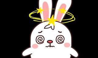 秘密BY吃肉的长耳兔