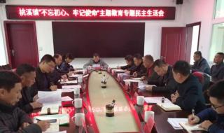 民主生活会批评意见