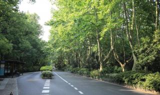 春雪的说说发朋友圈