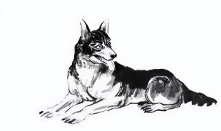 属鸡的人2014年运程 属鸡的人2014年运程