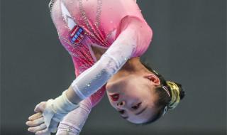 2023年有什么奥运会