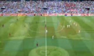 2006世界杯彩绘葡萄牙 2006世界杯彩绘葡萄牙