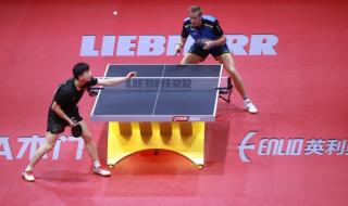 2021年乒乓球世乒赛