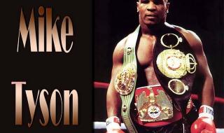 世界拳王排行榜前十名